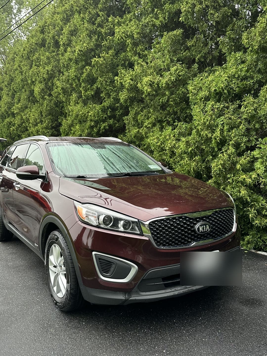 Kia Sorento — full detail